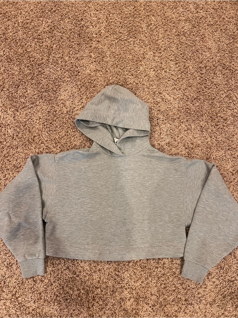 ALO Yoga Light Gray Cropped Hoodie XXS